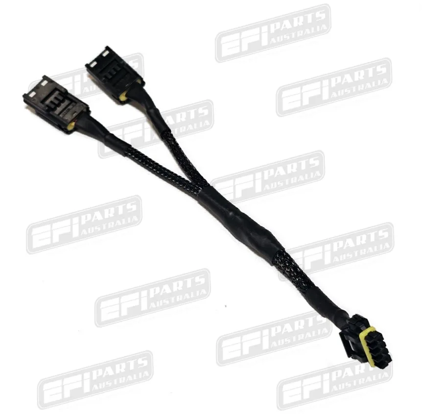 EFI CAN SPLITTER