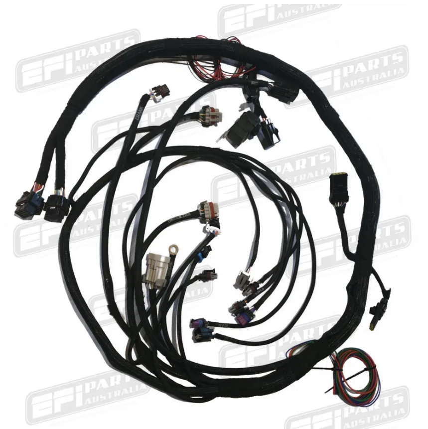 WIRING HARNESS - LS1 TO SUIT HOLLEY